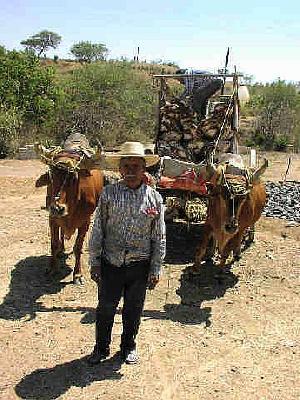 mezcal
   wagon by Richard Malmed