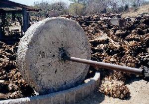 mezcal
   stone by Richard Malmed