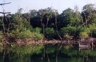 barra lagoon