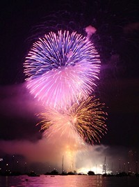 [2009 Vancouver Fireworks]